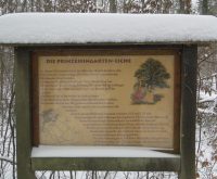 Schaukasten mit Beschreibung